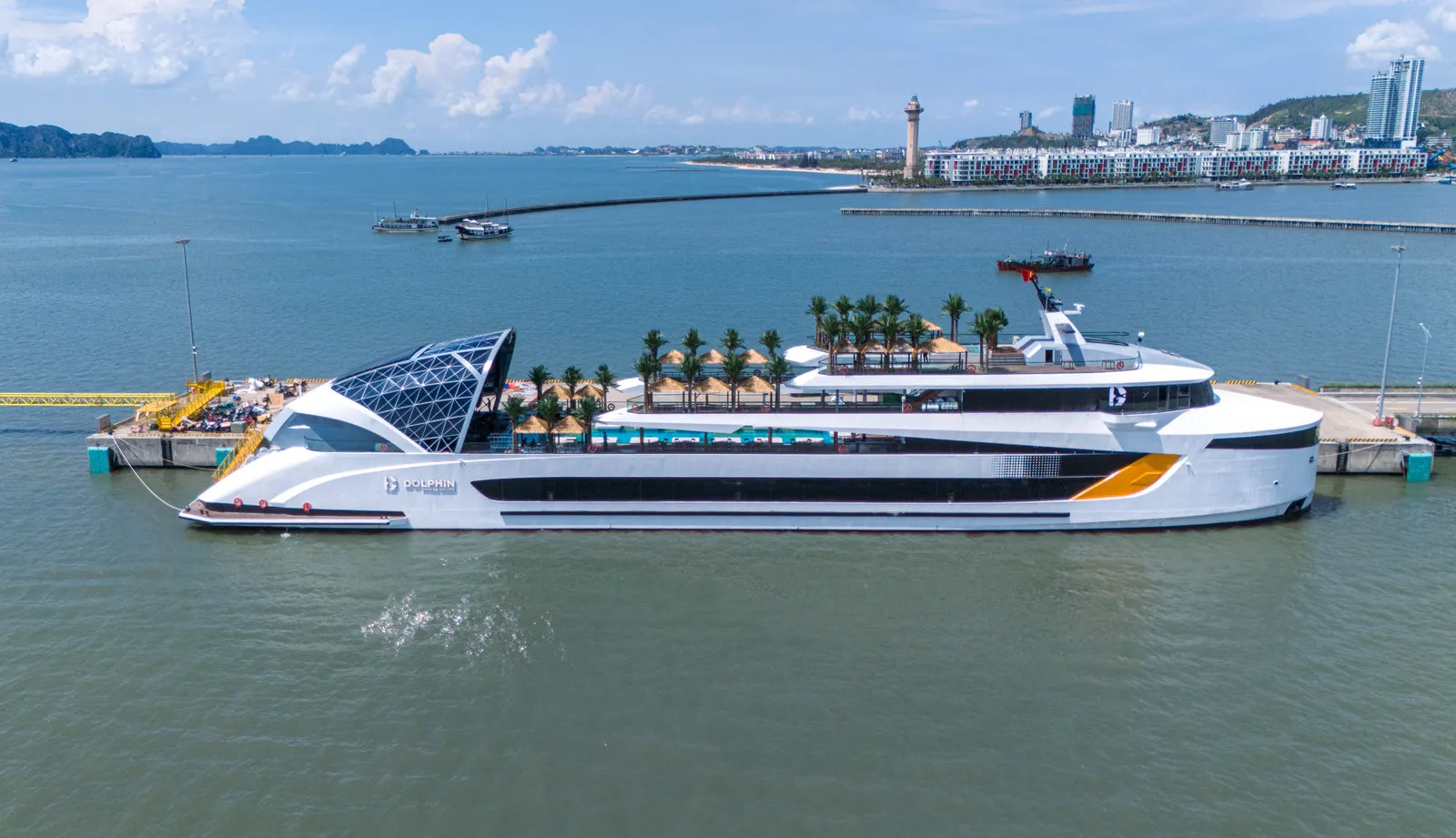 Dolphin Halong Cruise